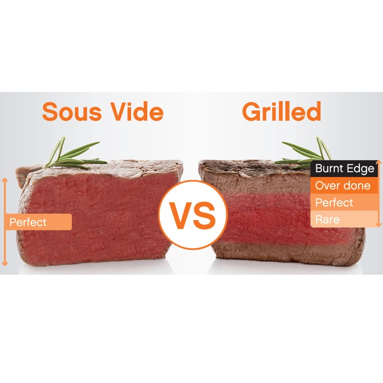 GRADE A1 - Sous Vide Immersion Thermal Circulator Wand - EIQSOUSVIDE