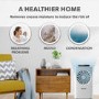 electriQ 10 litre Laundry Dehumidifier with Air Purifier - Best Seller