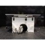 Refurbished Elica Shy SHY-WH-60 60cm Angled Cooker Hood White Glass