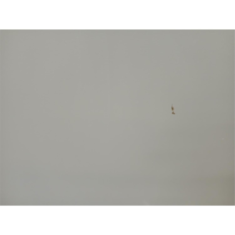 Refurbished electriQ 60cm Single Electric Solid Plate White 1yr Warranty