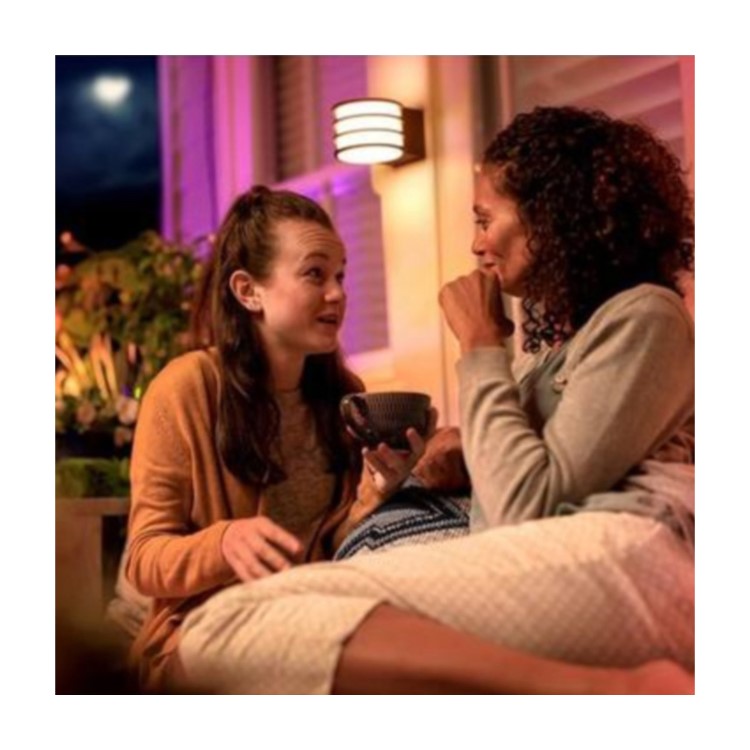 Philips Hue Lucca Outdoor Wall Light