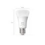 Philips Hue White and Colour Ambiance E27 Single Bulb
