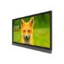 BenQ RP653K 65" 4K Ultra HD Interactive Touchscreen Display
