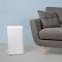 GRADE A2 - electriQ 10 Litre Dehumidifier with Humidistat and Odour Filter for Damp Mould Drying Clothes