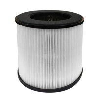 Refurbished Replacement Hepa and Carbon Photo Catalyst Filter for ElectriQ EAPDC150HCST