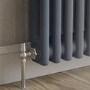 Refurbished Reggio Anthracite Horizontal Double Column Traditional Radiator 300x605mm 1062 BTU - Cast Iron Style
