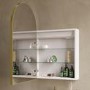 GRADE A2 - Single Door Brass Bathroom Mirror Cabinet with Lights, Demister & Shaver Socket 500 x 800mm - Empire