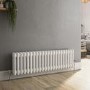 GRADE A2 - Reggio White Horizontal Double Column Traditional Radiator 300x1010mm 1797 BTU - Cast Iron Style