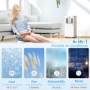 5000 BTU Portable Air Conditioner