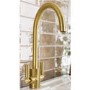 Abode Brolle Dual Lever Mixer Tap - Brushed Brass