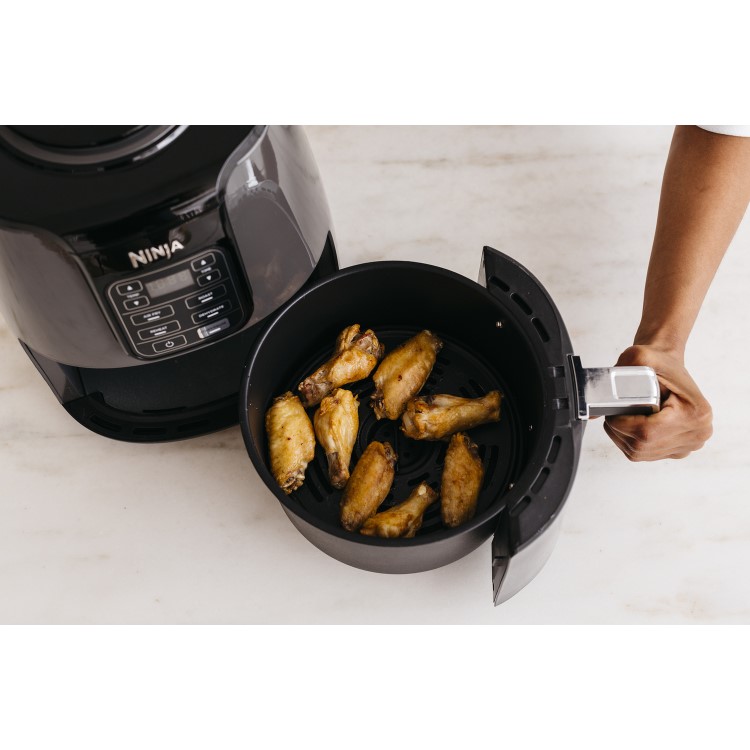 Ninja AF100UK 4-in-1 Air Fryer And Dehydrator - Grey