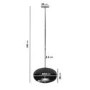 Oval Ceiling Hanging Bioethanol Fire in Matte Black - AmberGlo 