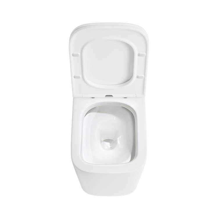 GRADE A1 - Back to Wall Rimless Toilet with Soft Close Seat - Albi