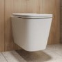 Wall Hung Toilet with Soft Close Seat, Pneumatic Black Flush Plate, 1168mm Frame & Cistern - Albi