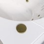 Single Ended Whirlpool Spa Bath with 14 Brushed Brass Whirlpool Jets 1700 x 750mm - Alton
