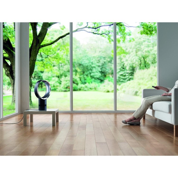 Dyson AM06 12 Inch Desk Fan - Iron and Blue