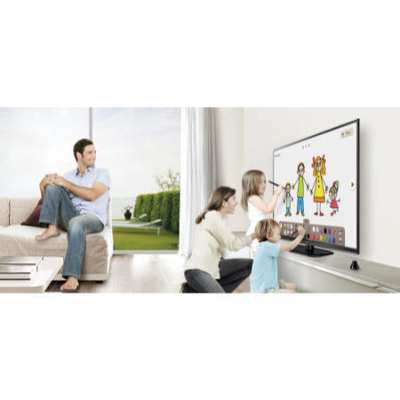 LG AN-TP300 Pentouch Pen and Cradle