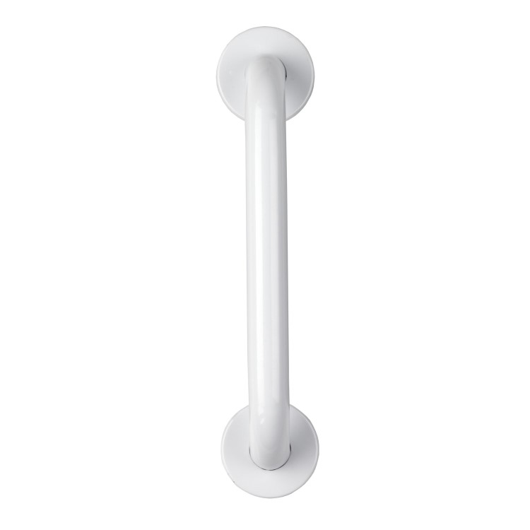 Stainless Steel Grab Rail 300mm