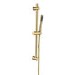 Brushed Brass  Round Adjustable Height Slide Rail Kit with Hand Shower - Arisssa