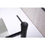 Black Mono Basin Mixer Tap - Arissa