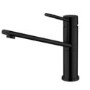 Black Single Lever Monobloc Kitchen Mixer Tap - Essence Ava