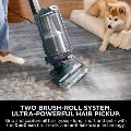 Shark PowerDetect Powered Lift-Away Upright Pet Vacuum Cleaner - Dark teal