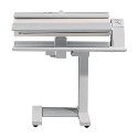 B990 Miele B990 Rotary Iron