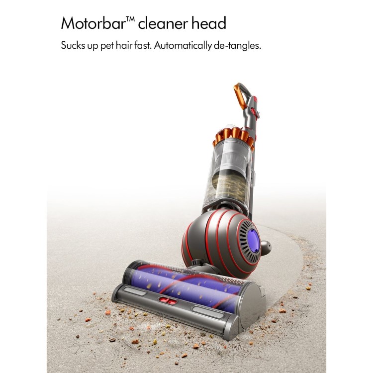 Dyson BALLANIMAL2NEW Upright Corded Vacuum Cleaner