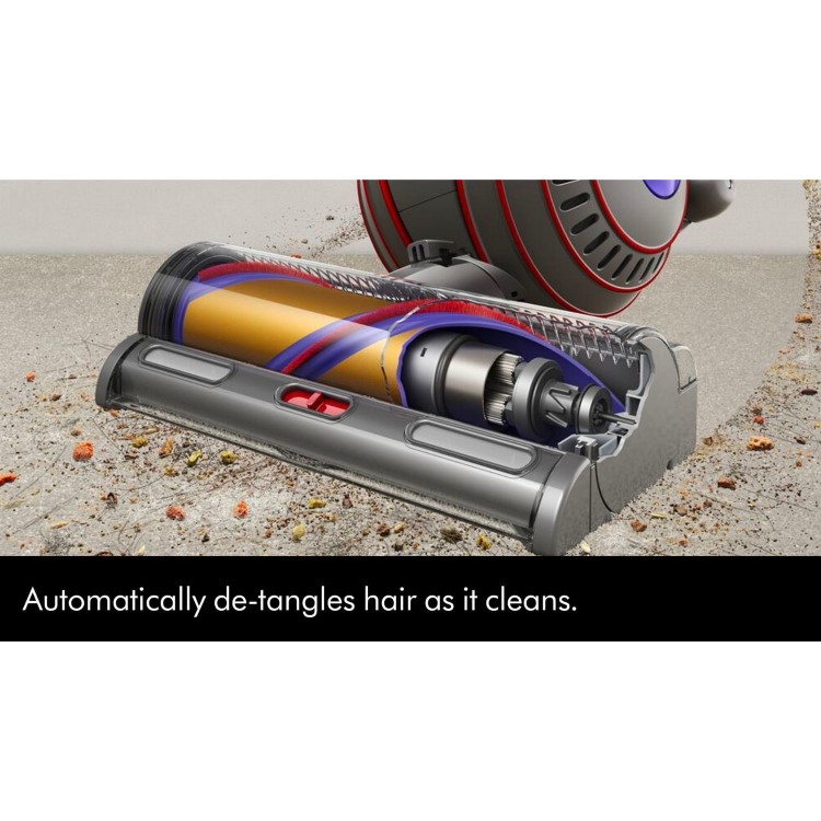 Dyson BALLANIMALORIG2 Ball Animal Original 2 Upright Corded Vacuum Cleaner