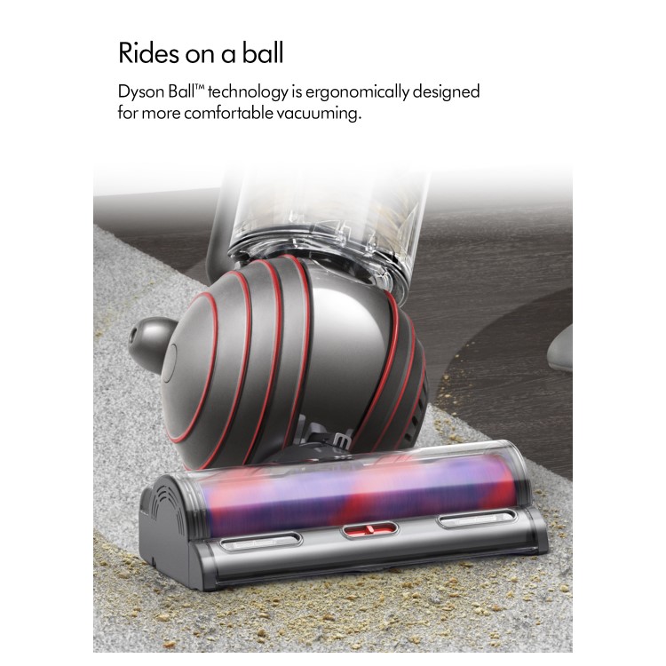Dyson BALLANIMALORIG2 Ball Animal Original 2 Upright Corded Vacuum Cleaner