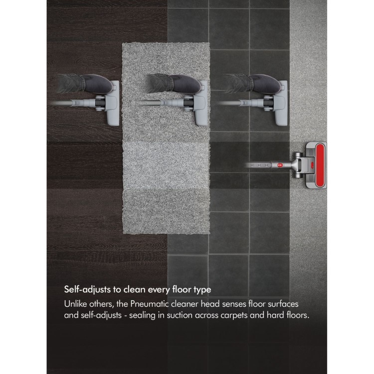 Dyson Big Ball Animal 2 Cylinder Corded Vacuum Cleaner - Iron & Purple