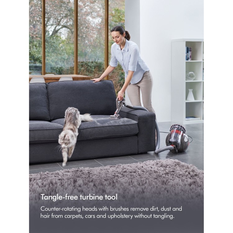 Dyson Big Ball Animal 2 Cylinder Corded Vacuum Cleaner - Iron & Purple