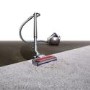 Dyson Big Ball Animal 2 Cylinder Corded Vacuum Cleaner - Iron & Purple