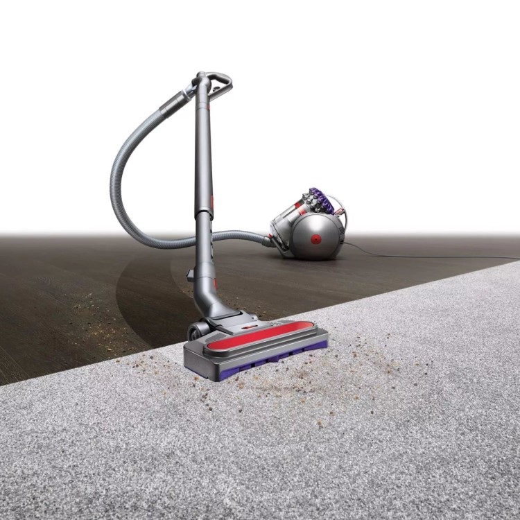 Dyson Big Ball Animal 2 Cylinder Corded Vacuum Cleaner - Iron & Purple