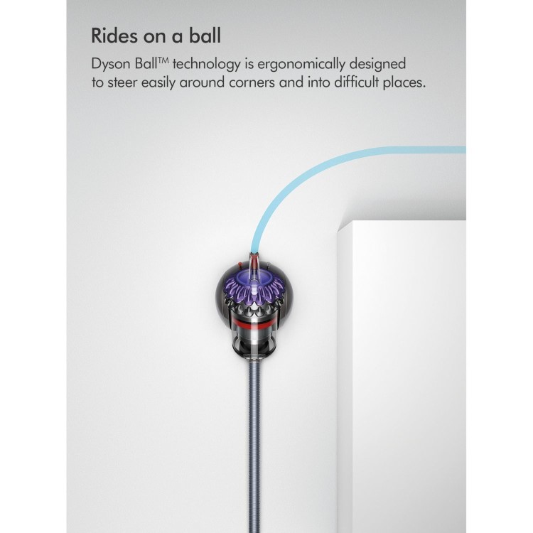 Dyson Big Ball Animal 2 Cylinder Corded Vacuum Cleaner - Iron & Purple
