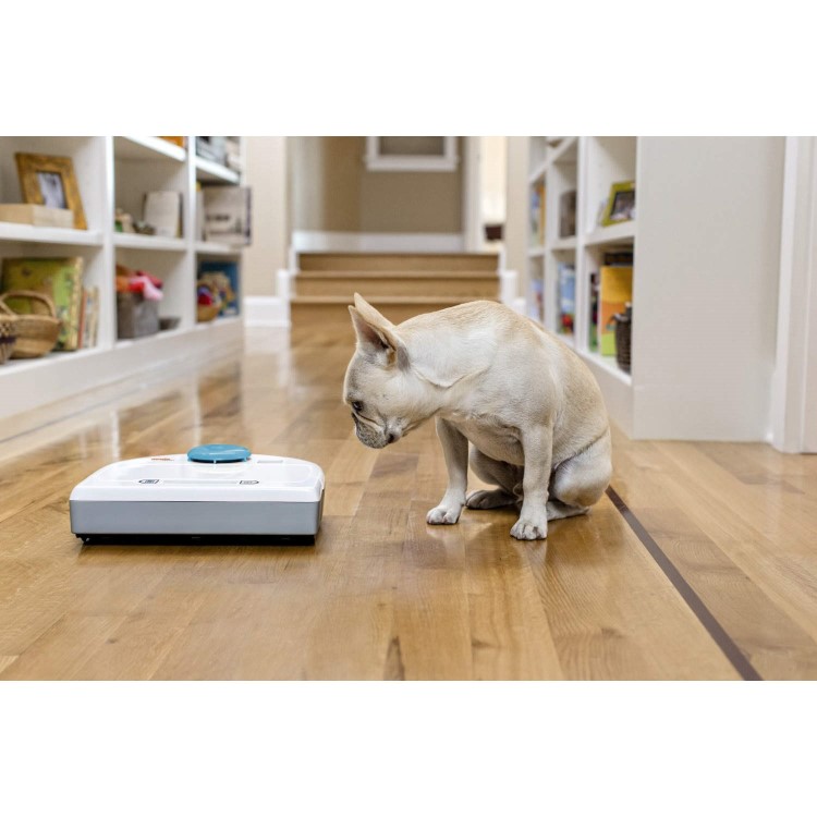 Neato BOTVAC85 Robotic Vacuum Cleaner In Two-tone Grey With Blue