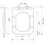 ONLY OPENED - Wall Hung Rimless Toilet with Soft Close Seat - Albi
