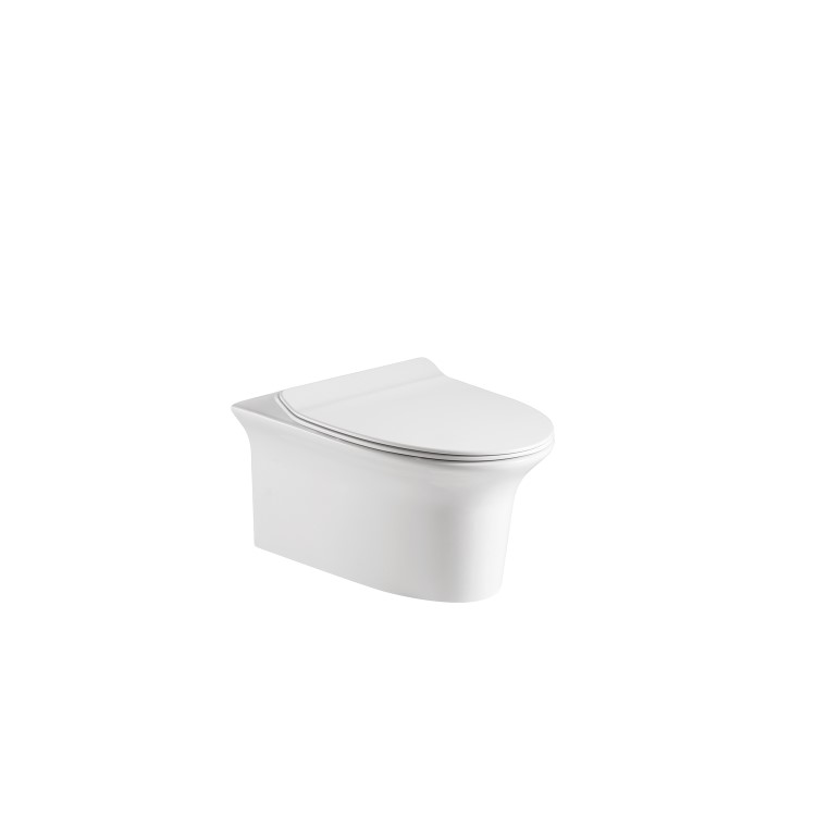 Wall Hung Rimless Toilet with Soft Close Slim Seat Frame Cistern and Black Flush - Valencia