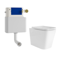 Albi Back to Wall Rimless Toilet with Soft Close Seat & Concealed Cistern With Brushed Brass Push Button
