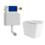 Albi Back to Wall Rimless Toilet with Soft Close Seat & Concealed Cistern With Brushed Brass Push Button