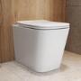 Back to Wall Rimless Toilet with Soft Close Seat - Albi