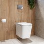 Albi Wall Hung Toilet 1160mm Pneumatic Frame & Cistern & Chrome Flush Plate