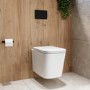 Wall Hung Toilet with Soft Close Seat, Pneumatic Black Flush Plate, 1168mm Frame & Cistern - Albi