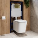 BUN/ALBIWH/91054 Albi Wall Hung Toilet 1160mm Pneumatic Frame & Cistern & Brushed Brass Flush Plate