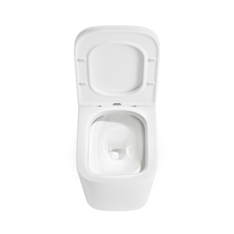 Albi Wall Hung Toilet 1160mm Pneumatic Frame & Cistern & White Glass Flush Plate