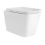 Wall Hung Toilet with Soft Close Seat, Mechanical Black Flush Plate, 1168mm Frame & Cistern - Albi