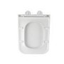 Wall Hung Toilet with Soft Close Seat, Mechanical Chrome Flush Plate, 1168mm Frame & Cistern - Albi