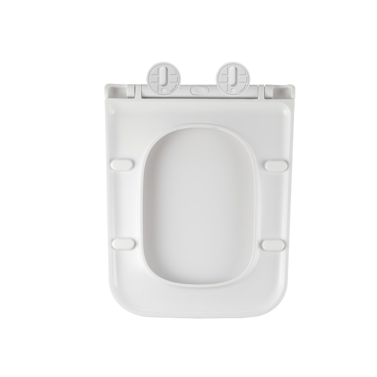 Wall Hung Toilet with Soft Close Seat, Mechanical Chrome Flush Plate, 1168mm Frame & Cistern - Albi