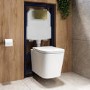 Albi Wall Hung Toilet 1160mm Mechanical WC Frame & Cistern & Brushed Brass Mechanical Flush Plate