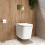 Albi Wall Hung Toilet 1160mm Mechanical WC Frame & Cistern & Brushed Brass Mechanical Flush Plate